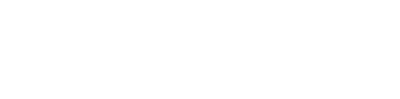Vendetta Race